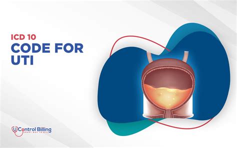 Uti Icd 10 Code