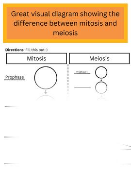 utsvisualaid PDF Meiosis Mitosis