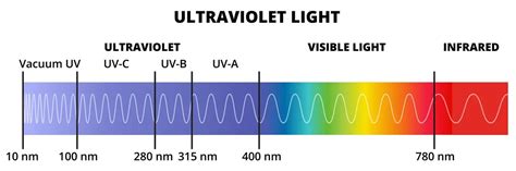 Uvb Wavelength