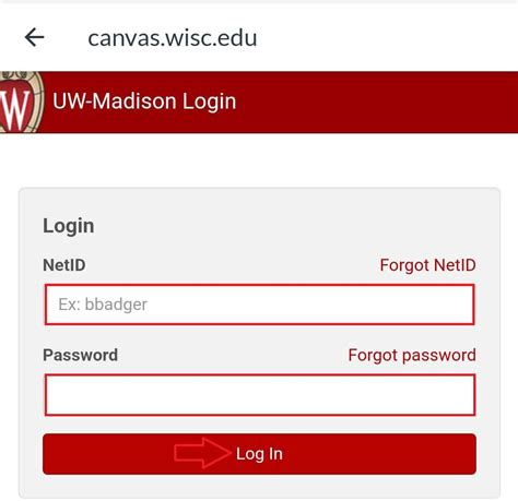 Uw Madison Canvas