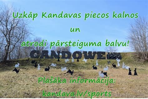 verde: Apostas Desportivas Online com Garantia de Segurança Financeira para Todos os Jogadores - Foto 2