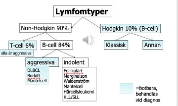 vårdprogram lågmaligna lymfom