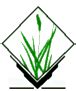 v.out.vtk - GRASS GIS manual