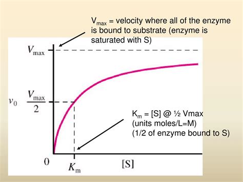 V0 Enzyme Kinetics