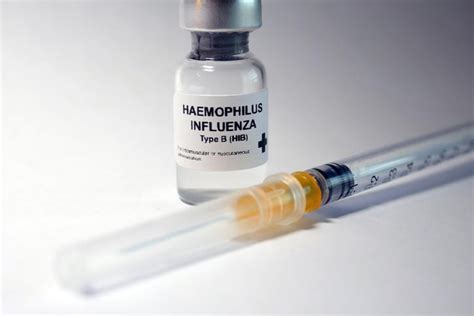 vacuna haemophilus influenzae adultos