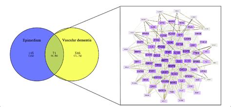 vad  existerar  detta bästa epimedium