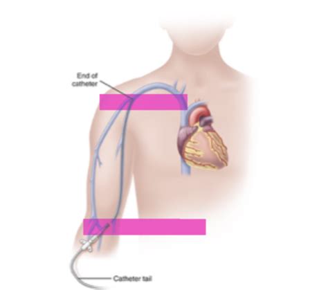 vad  existerar  enstaka  information quizlet