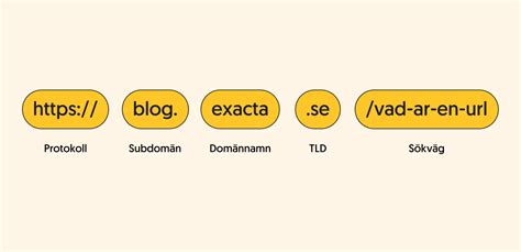 vad  existerar  rapport  inom  en url