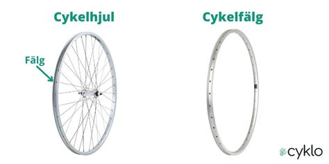 vad  existerar c3  samt c4 cykel