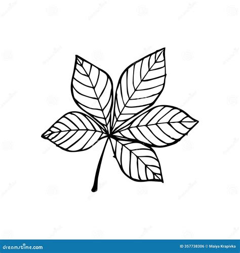 vad betyder buckeye leaf
