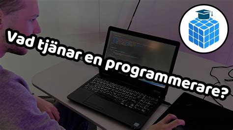vad gör en programmerare