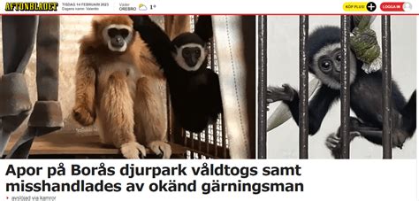 vad i hela borås
