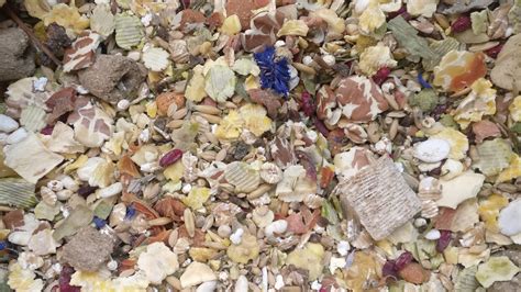 vad kan man blanda i torrfoder