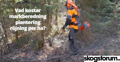 vad kostar  en hektar mark