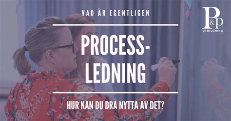 vad processledning