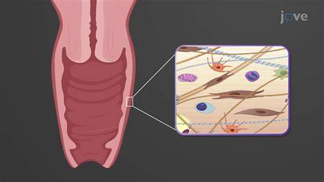 vagina nude