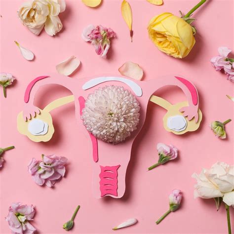 vaginal flora
