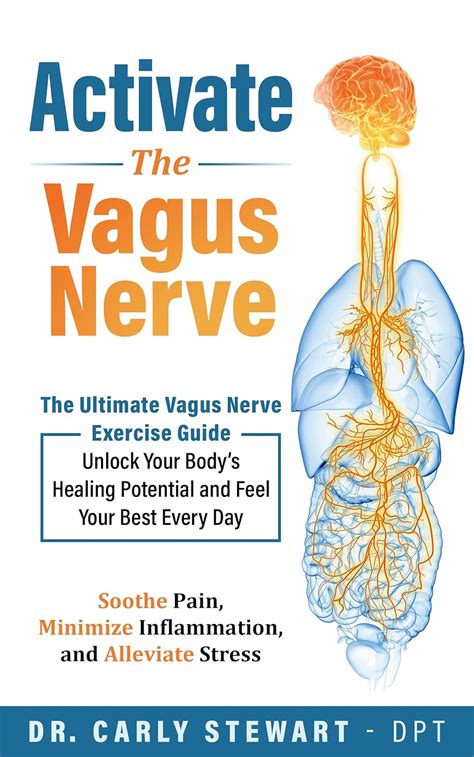vagus nerve the ultimate guide to vagus nerve sti