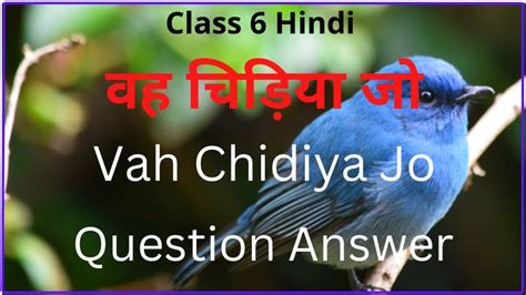 Vah Chidiya Jo Question Answer
