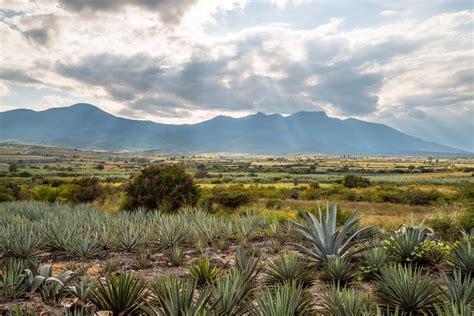 Valle De Oaxaca