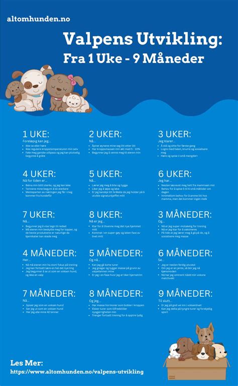 valp utvikling