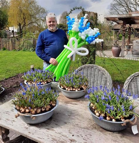 van vlerken mierlo hout