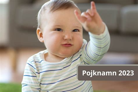 vanligaste namnen pojkar