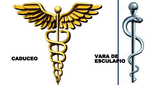 Vara De Esculapio