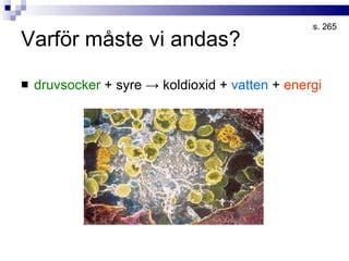 varfor andas vi in syre och ut koldioxid
