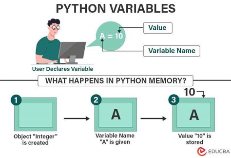 variable python meaning