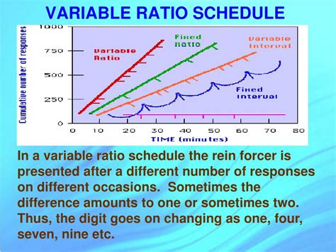 Variable Ratio Schedule