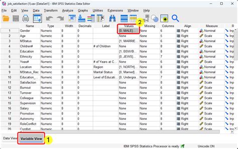 Variable View Spss For Year