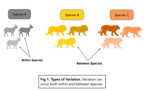 Variation Understanding Evolution Variations In Science - Variations In Science