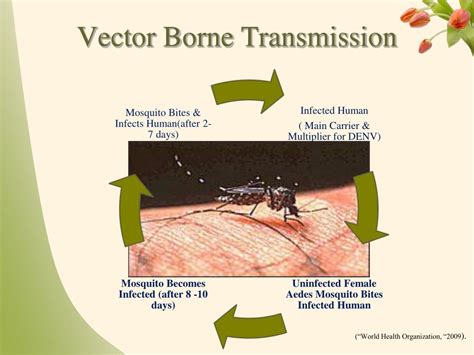 vector borne definition