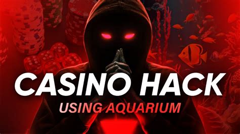 vegas casino hacked through fish tank eixp belgium