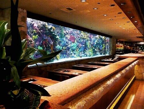 vegas casino hacked through fish tank lblt switzerland