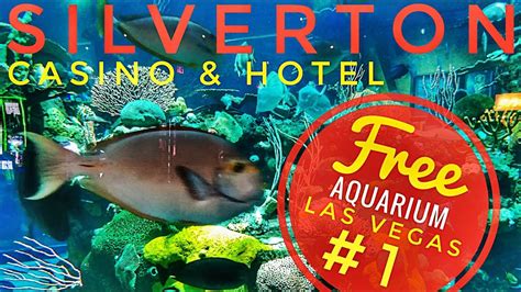 vegas casino with aquarium vpok luxembourg