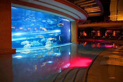 vegas casino with aquarium xhqk switzerland