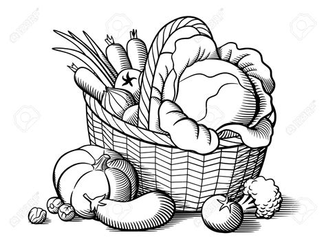 Vegetable Basket Sketch