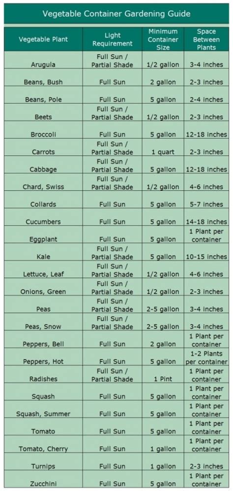 Vegetable Container Gardening Guide For Beginners How To Grow Healthy Vegetable Herb Gardens In Small Spaces Containers Vegetable Garden Homesteading Garden Urban Farming Organic Gardening