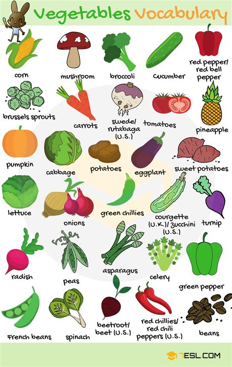 Vegetable Name List In English