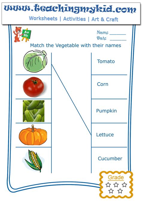Vegetable Or Not Preschool Worksheets Free Printable Online Vegetables Worksheets For Preschoolers - Vegetables Worksheets For Preschoolers