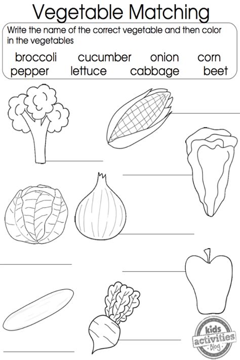 Vegetable Themed Worksheets For Kindergarten The Teaching Aunt Vegetable Worksheets For Preschool - Vegetable Worksheets For Preschool