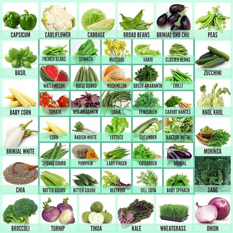 Vegetable Wikipedia Vegetable Grade - Vegetable Grade