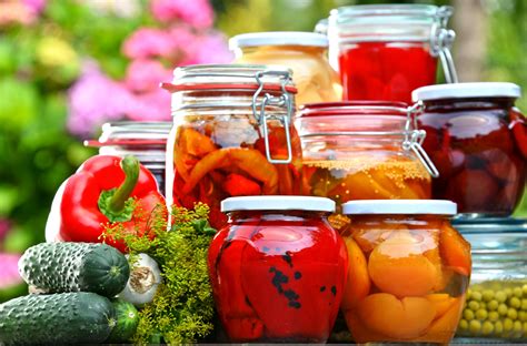 Download Vegetable Preservation And Processing Of Goods 