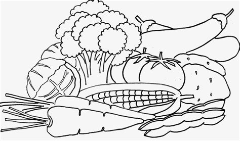 Vegetables Coloring Pages Colouring Pages Of Vegetables - Colouring Pages Of Vegetables