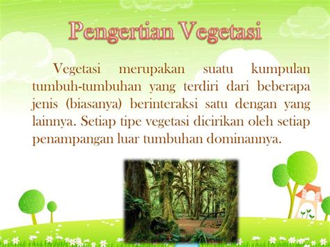 vegetasi adalah