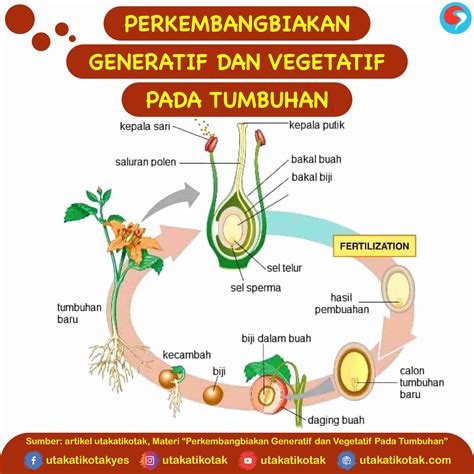 Vegetatif Dan Generatif