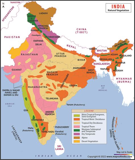 Vegetation Map Of India