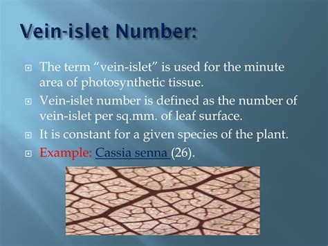 Vein Islet Number